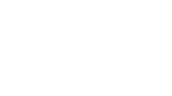 net+ Fribourg